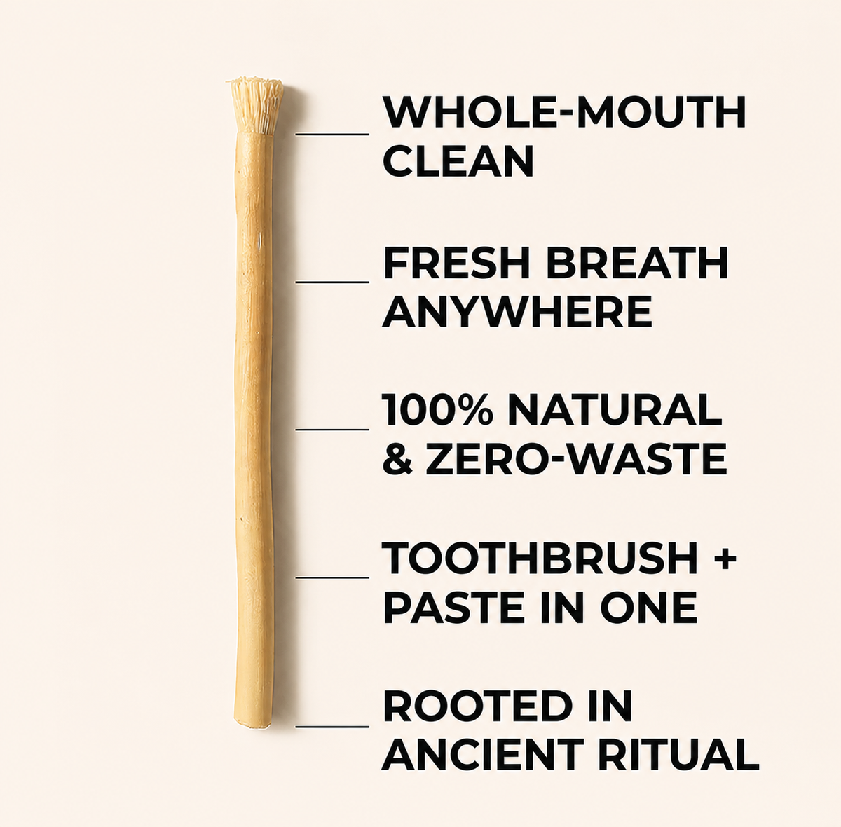 Miswak Tooth Cleaning Stick