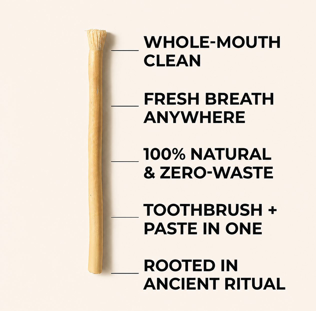 Miswak Tooth Cleaning Stick