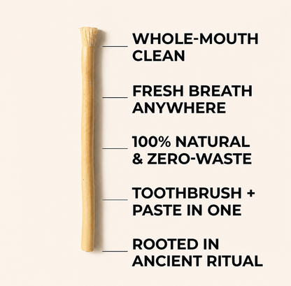 Miswak Tooth Cleaning Stick